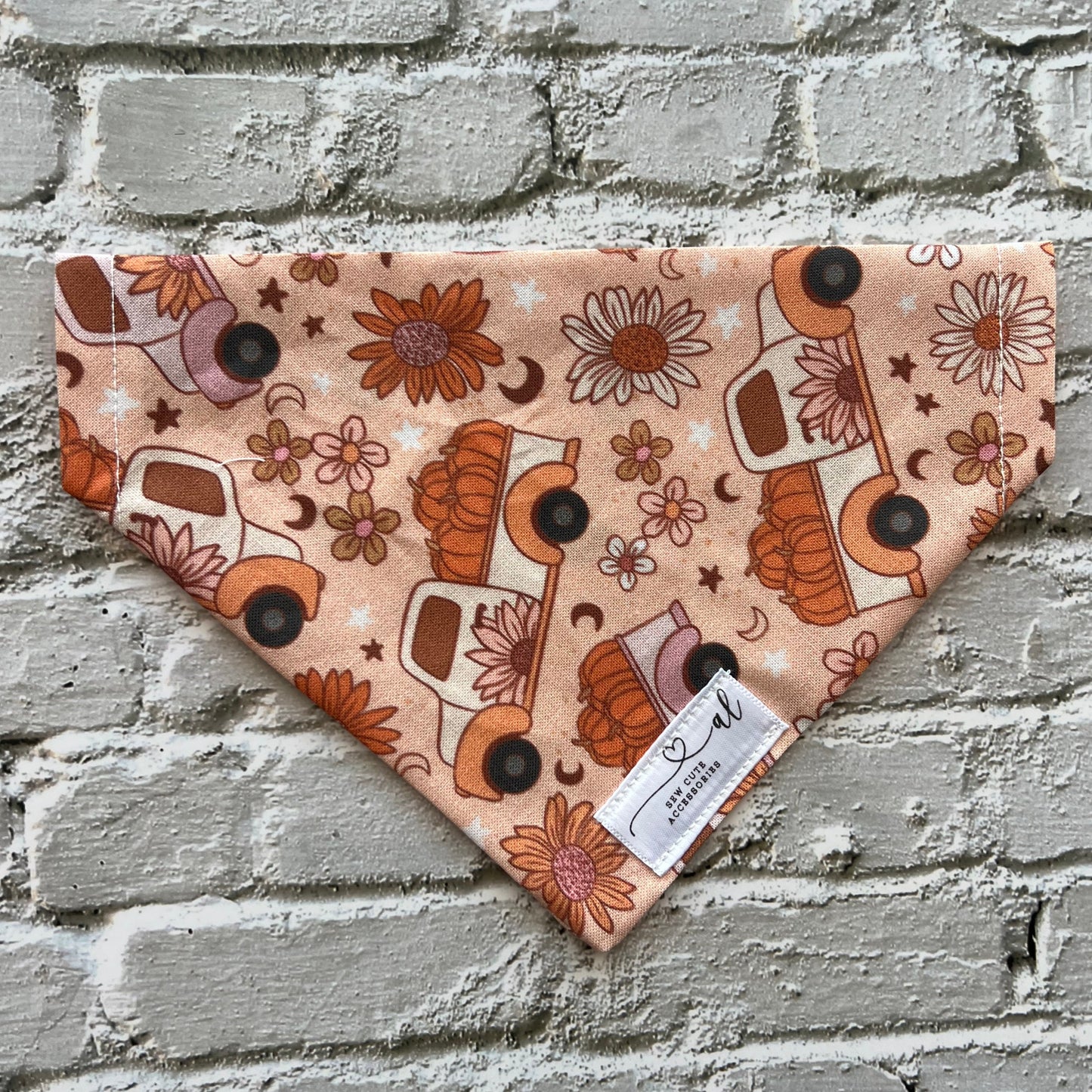 Pumpkin Patch Bandana