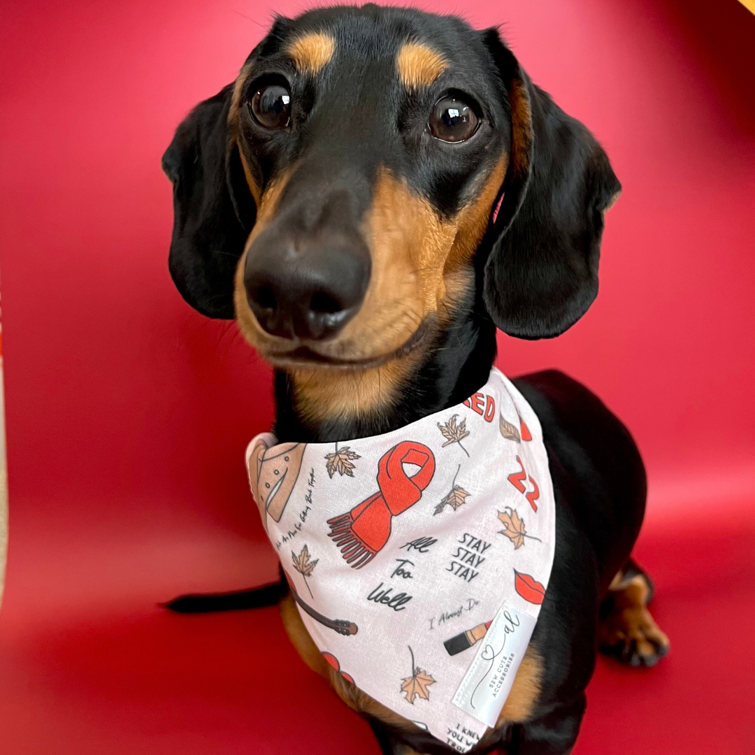 Burning Red Bandana